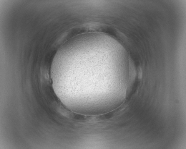 X0000054331155200508111911.png