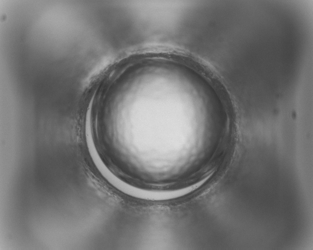 X0000052121403200507262039.png