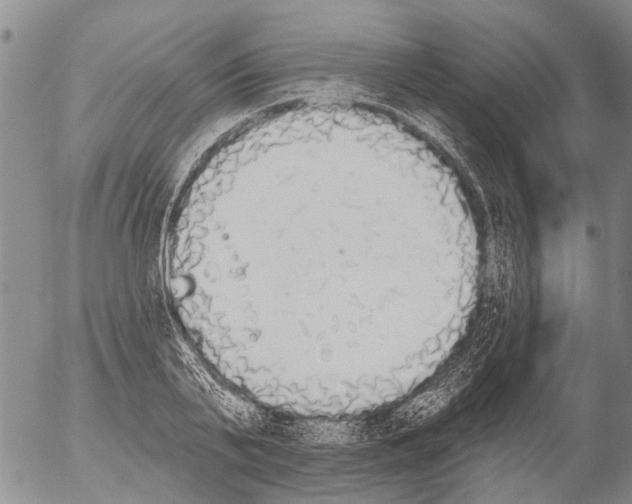X0000054580791200508300059.png