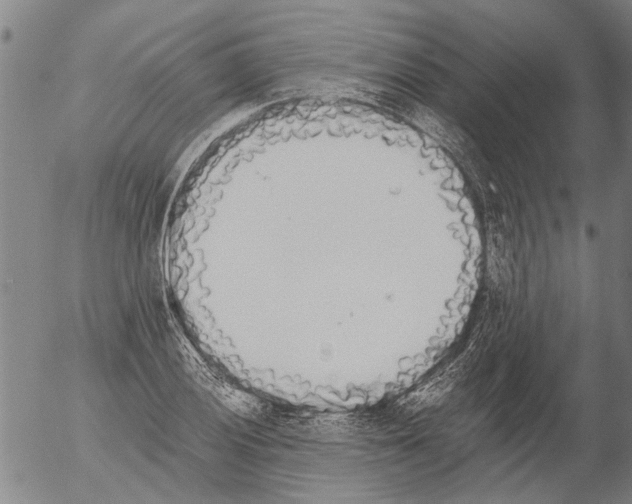 X0000054581028200508300055.png