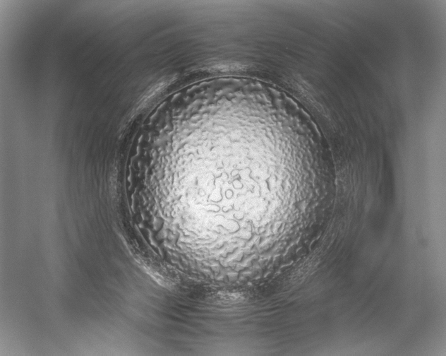 X0000055060159200508161655.png