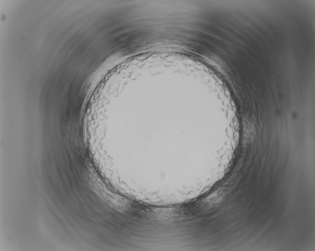 X0000054581371200508300049.png