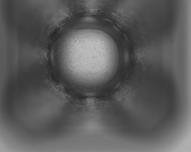 X0000038920615200409291007.png