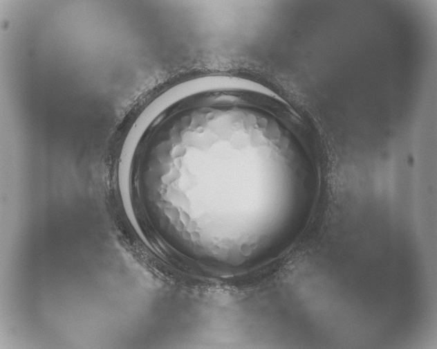 X0000052120683200507262052.png