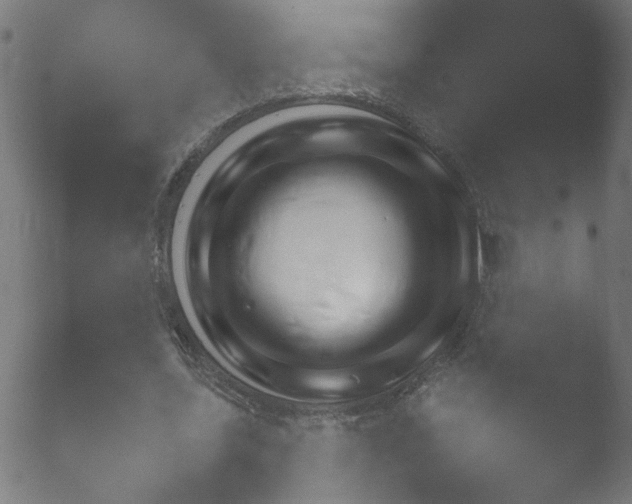 X0000050880627200507051508.png