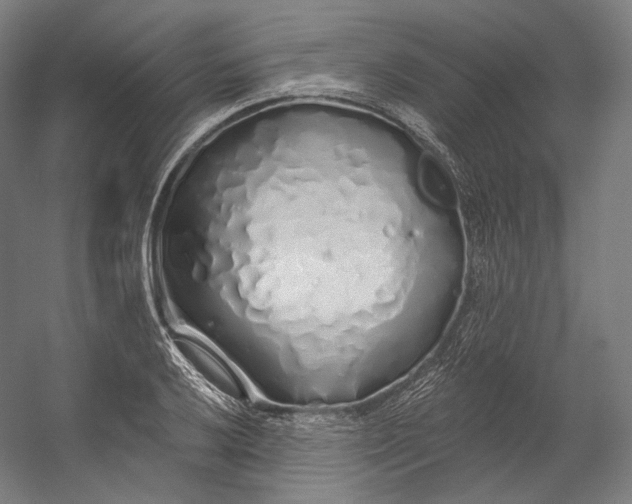 X0000055211032200508301316.png