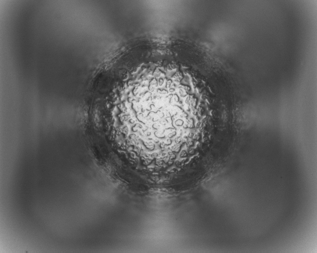 X0000040730707200410201651.png