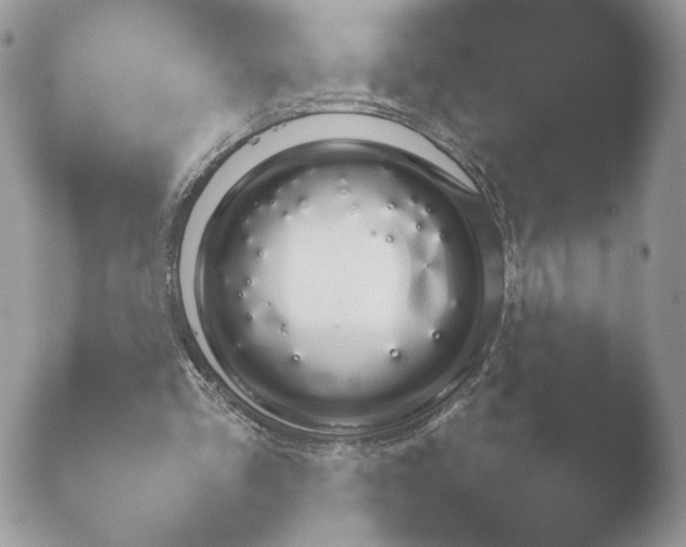 X0000052120293200507262058.png