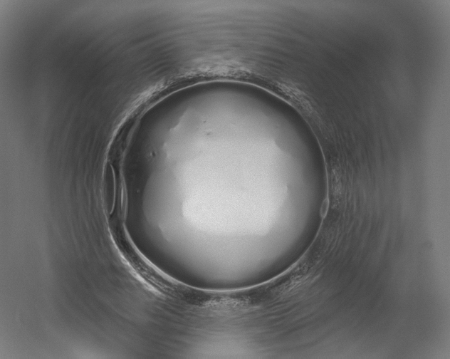 X0000055210630200508301322.png