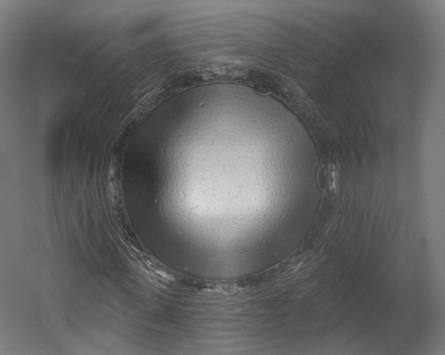 X0000055210915200508301318.png