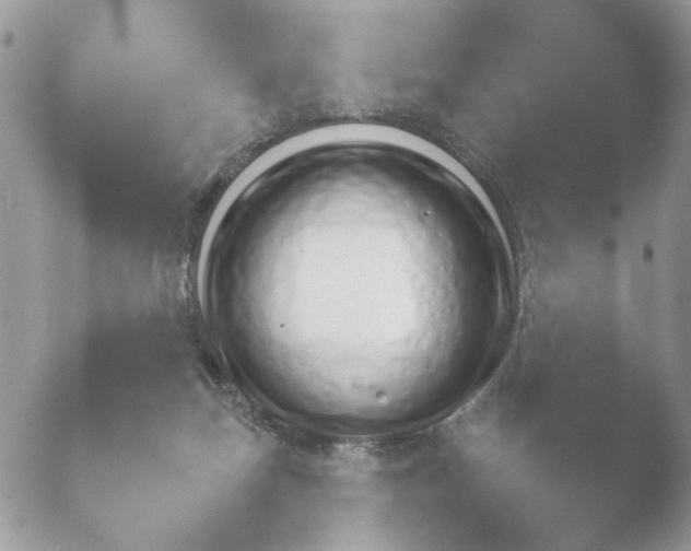 X0000052120171200507262100.png