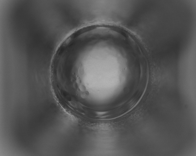 X0000052731375200507141534.png