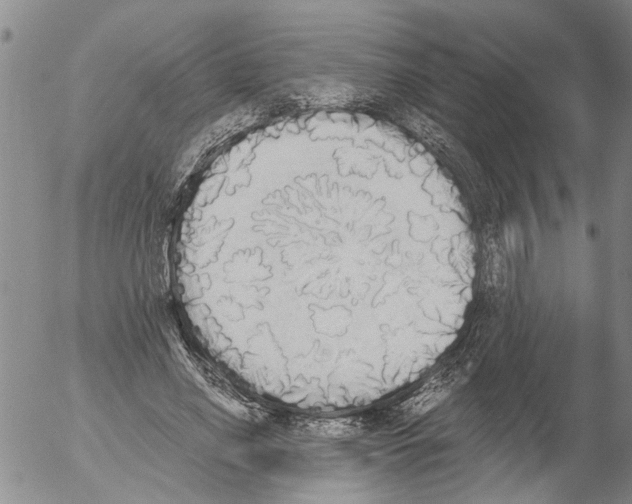 X0000054580638200508300101.png