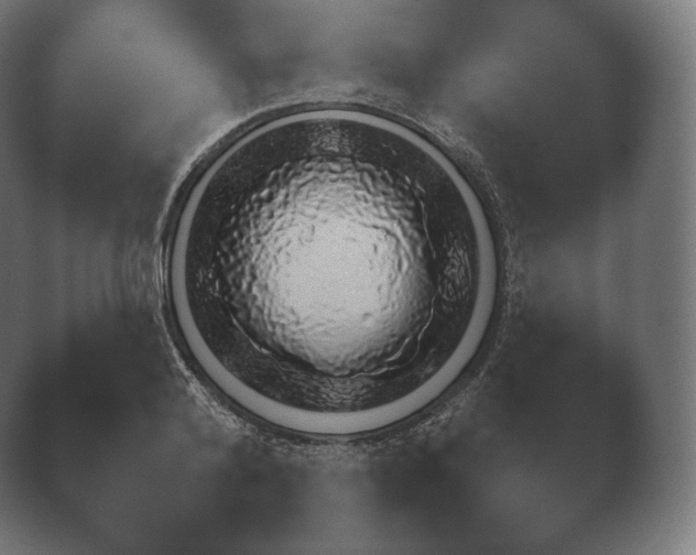 X0000040560792200411021427.png