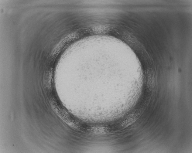 X0000054580742200508300100.png