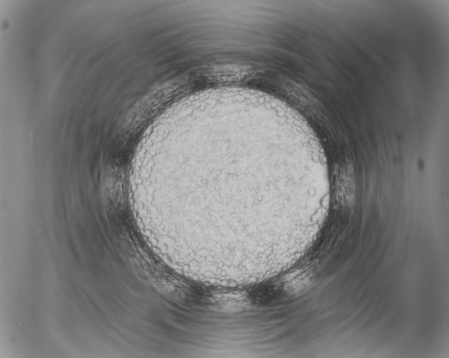 X0000054580283200508300108.png
