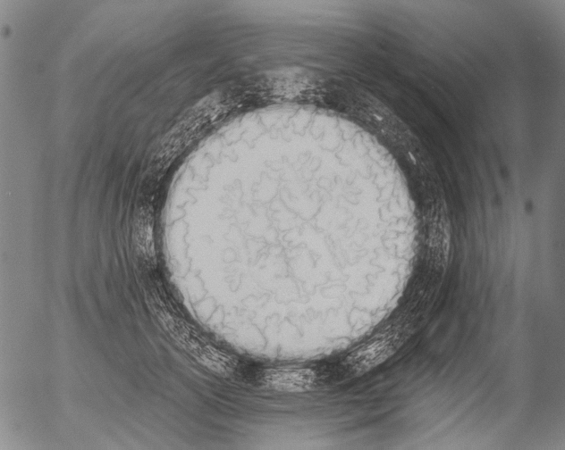 X0000054580754200508300100.png