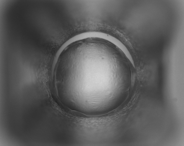 X0000052020018200507181638.png