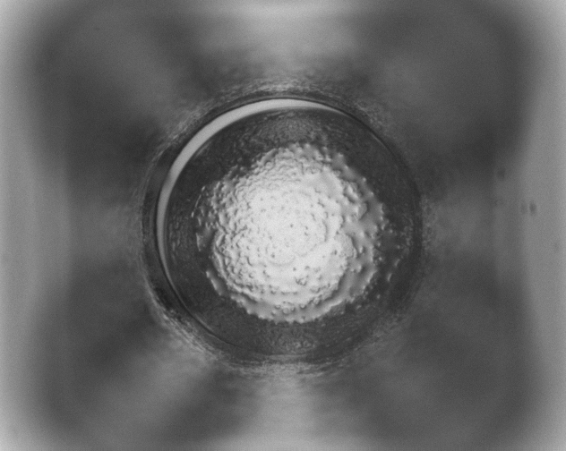 X0000038680482200409281327.png