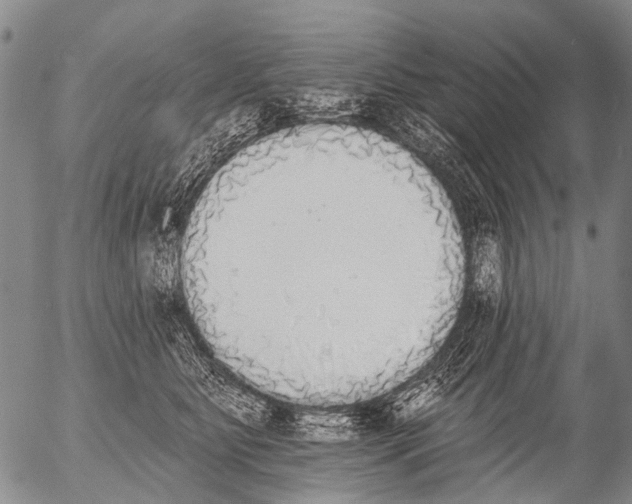 X0000054580515200508300104.png