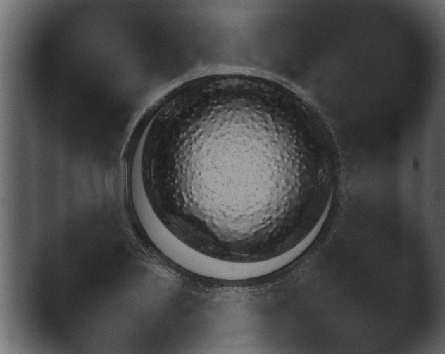 X0000043161223200411300936.png