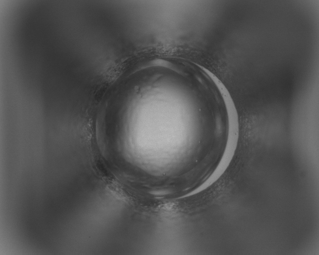 X0000052730275200507141553.png
