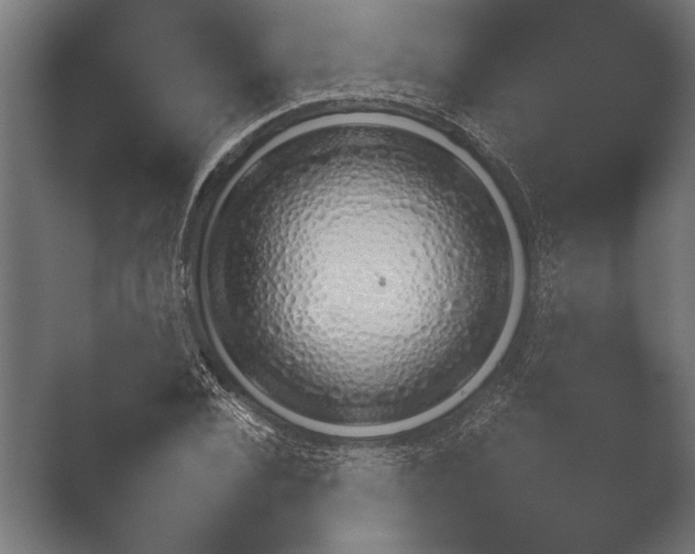 X0000051110928200507141753.png