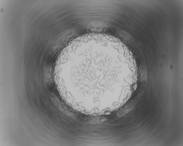 X0000054581060200508300055.png