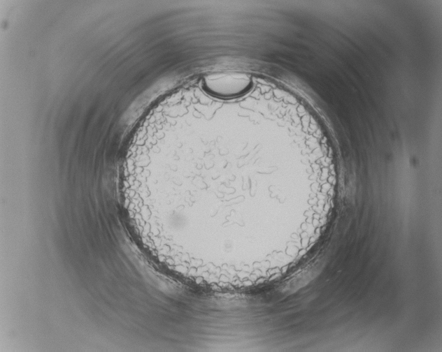 X0000054580437200508300105.png