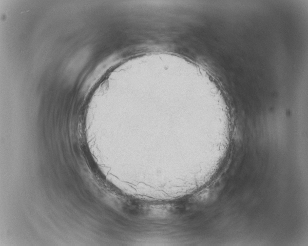 X0000054580103200508300111.png