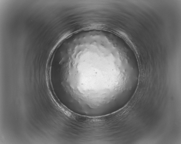 X0000055061235200508161637.png