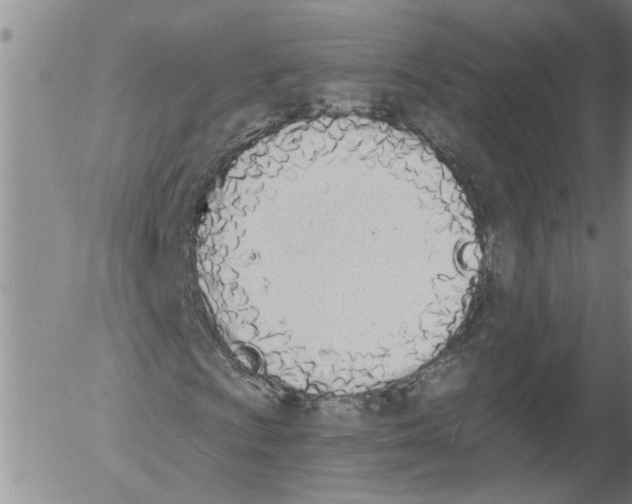 X0000054581009200508300055.png