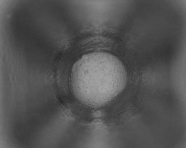 X0000051540283200506281747.png