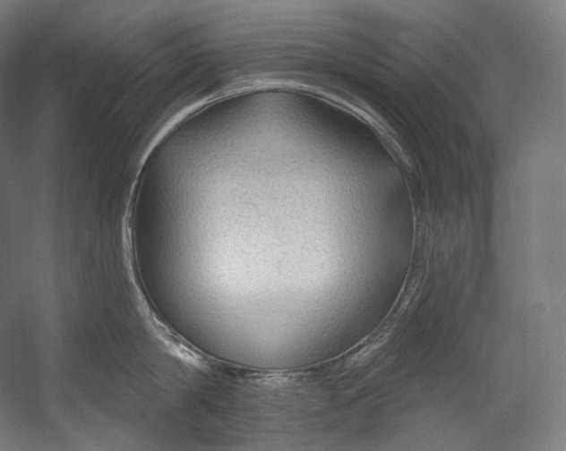 X0000055210814200508301320.png