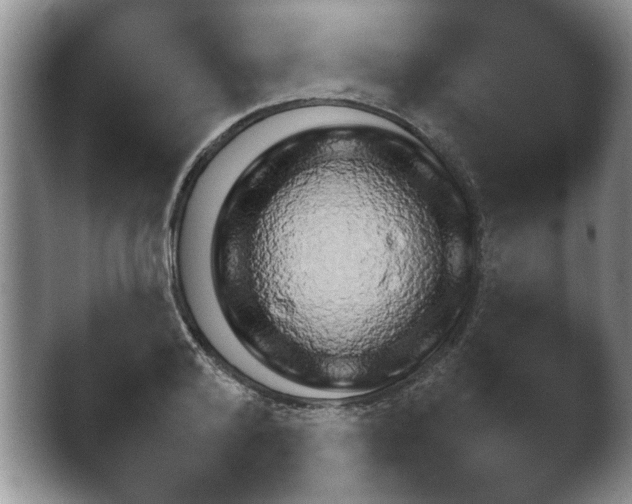 X0000041230792200411182042.png