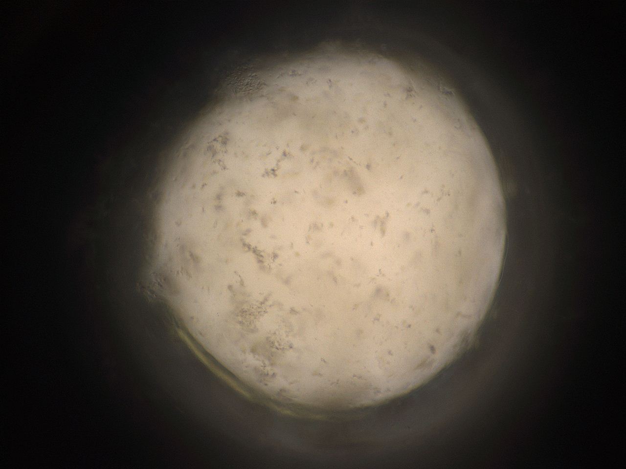 05cv_A1_ImagerDefaults_9.jpg