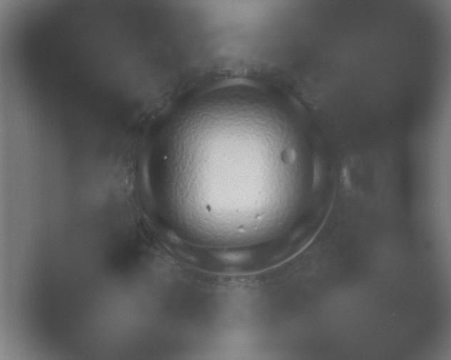 X0000054111347200508022048.png