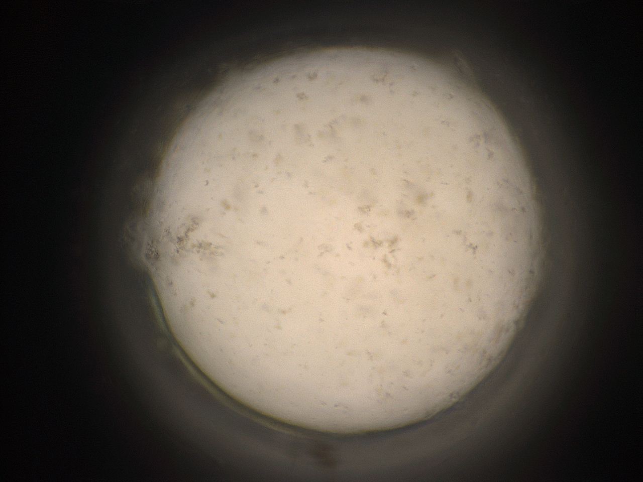 05cv_A2_ImagerDefaults_9.jpg