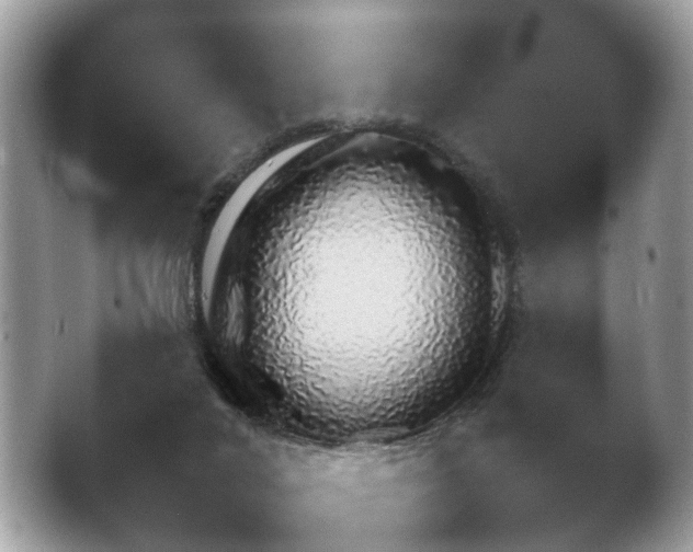 X0000043500024200412201819.png