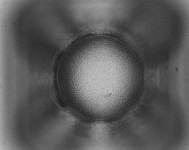 X0000041230202200411182052.png