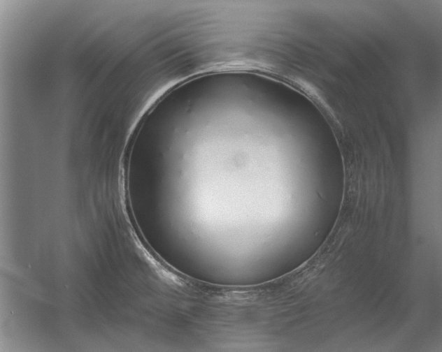 X0000055061476200508161633.png