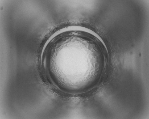 X0000052120495200507262055.png