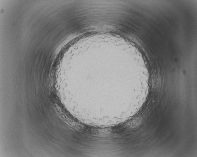 X0000054580975200508300056.png