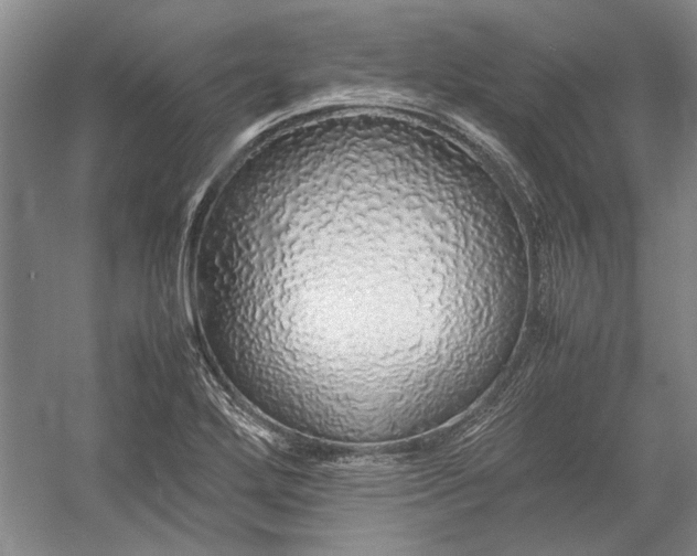X0000055061272200508161636.png