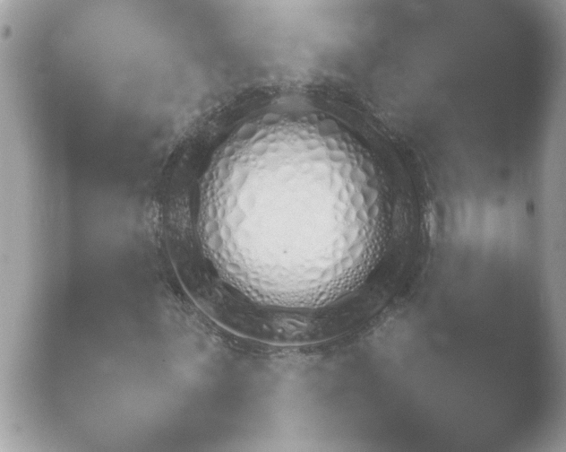 X0000052891059200507272224.png