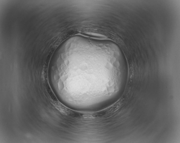 X0000055210519200508301325.png