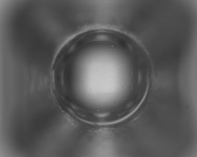 X0000054111175200508022051.png