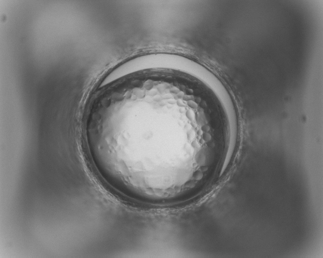 X0000052120049200507262102.png
