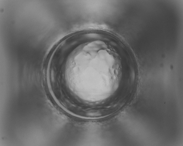 X0000050881227200507051459.png