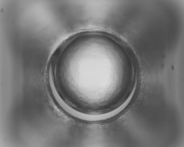 X0000052121421200507262040.png